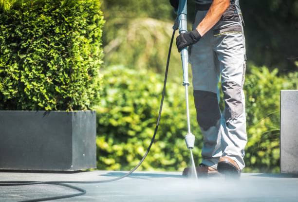 Best Animal Enclosure Cleaning  in Oblong, IL